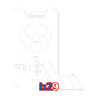 b29