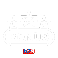 b29