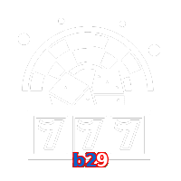 b29