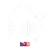 b29